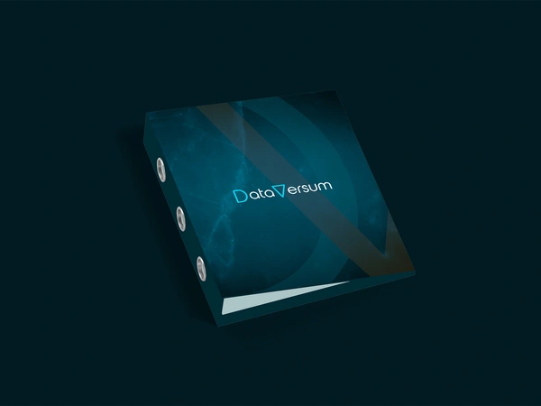 The DataVersum wordmark